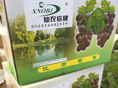 純凈天然葡萄