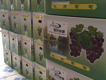 純凈天然無(wú)公害綠色食品