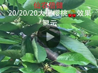 產(chǎn)品視頻