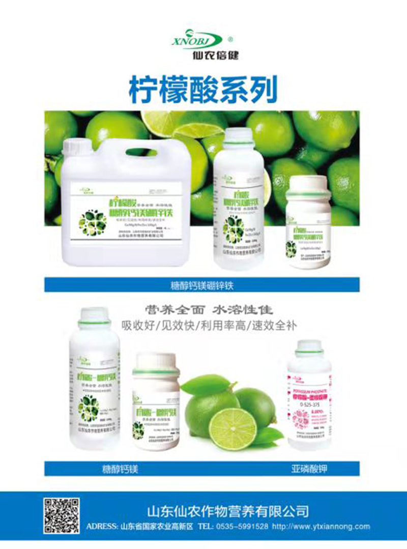 檸檬酸系列