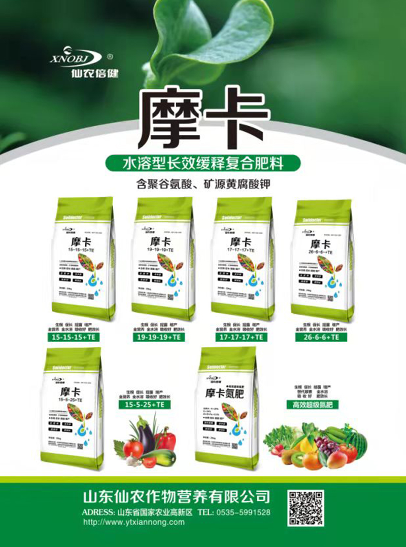 摩卡